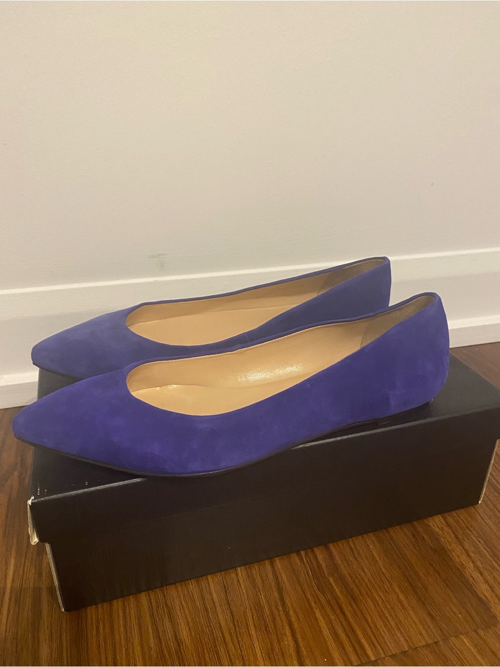 Talbots Suede Pointed Toe Flats in Rich Violet